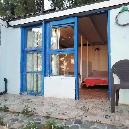 Cabana De Bosce 2 - Forest House Tijarafe