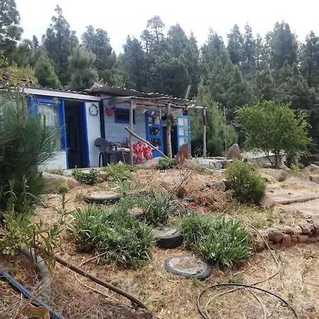 Apartament Cabana De Bosce 2 - Forest House Tijarafe