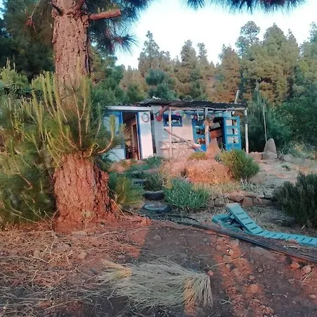 Cabana De Bosce 2 - Forest House * Tijarafe