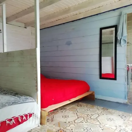 Cabana De Bosce 2 - Forest House